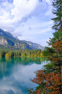 Scenic view of lake by trees against sky