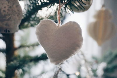 Close-up of heart shape hanging on tree