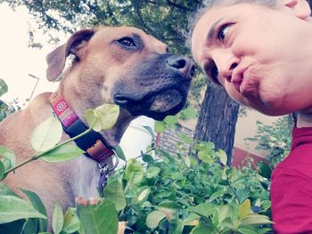 Close-up of dog looking at camera