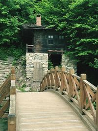 Wooden bridge in forest