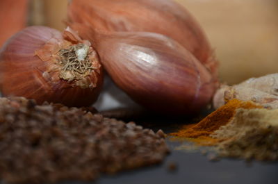 Close-up of shells on table