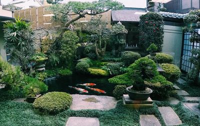 Potted plants and trees in front of building