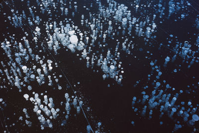 Full frame shot of snowflakes on plants