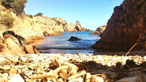 Scenic view of sea against clear sky