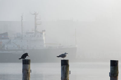 Scenic view of sea against foggy sky