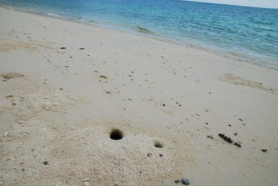 High angle view of footprints on beach