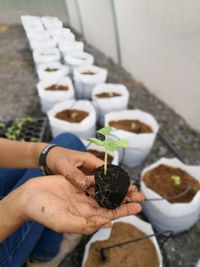 Low section of person planting saplings in yard