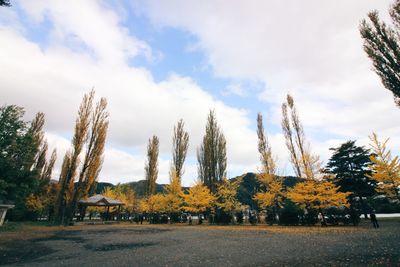 Trees against sky during autumn
