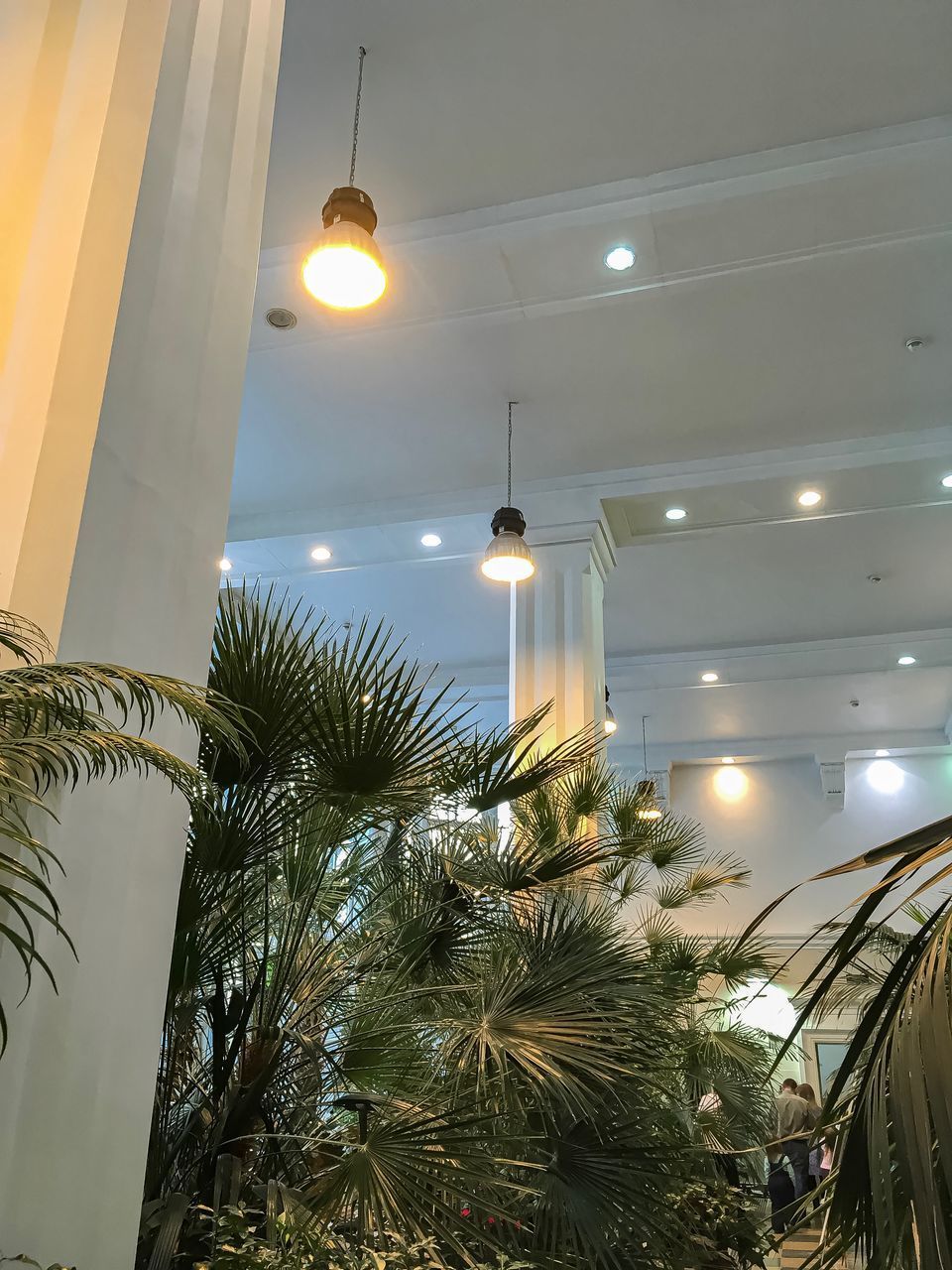 LOW ANGLE VIEW OF ILLUMINATED LIGHTING EQUIPMENT HANGING ON CEILING