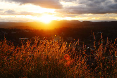 Sunset from top of the mountain 