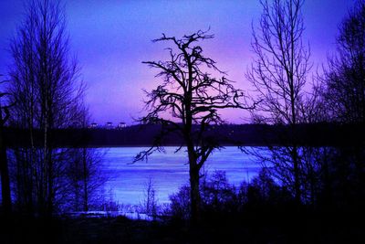 Silhouette bare trees by lake against sky during sunset