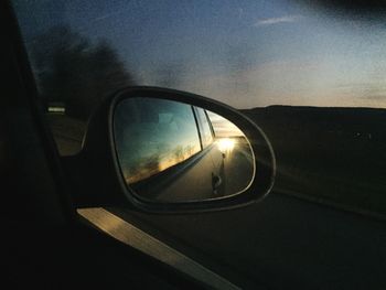 Reflection of trees in puddle