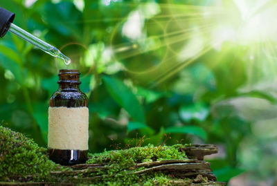 Close-up of glass bottle on table