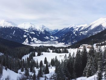 Snow covered landscape