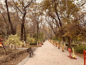 Footpath amidst trees in park during autumn