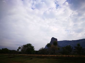 Trees on field against sky