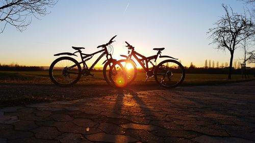 Trees against sky during sunset