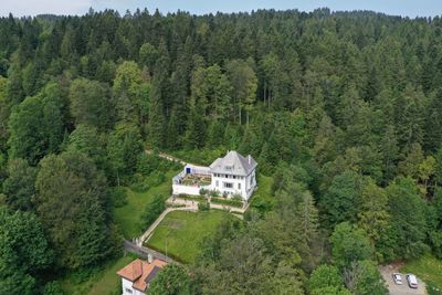 Trees and houses