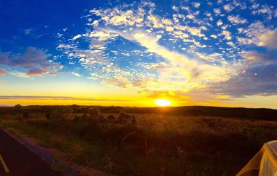 Scenic view of field against sky during sunset