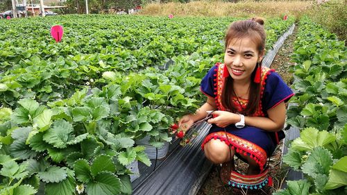 Woman harvesting strawberries at farm