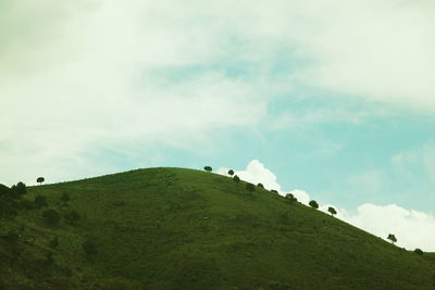 View of sheep on hill against sky