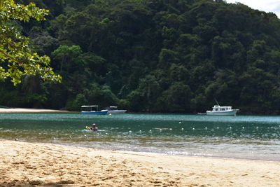 Scenic view of sea against trees