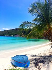 Scenic view of beach