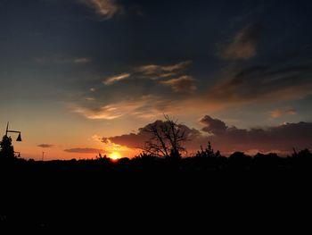 Silhouette trees against sky during sunset