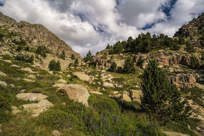 Panoramic view of landscape against sky