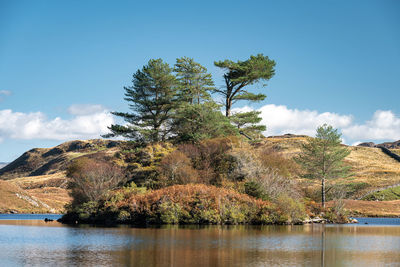 Trees by lake against sky