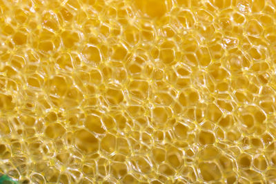 Full frame shot of abstract background
macro of a yellow dishwashing sponge