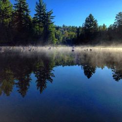 Scenic view of lake