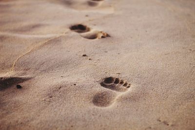 High angle view of footprints on sand