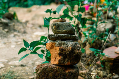 Close-up of stone stack on rock