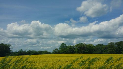 Scenic view of field against cloudy sky