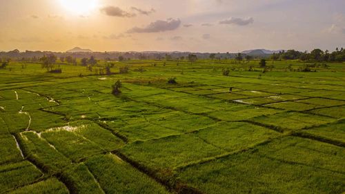 Scenic view of field against sky during sunset