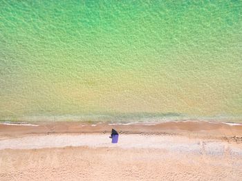 Rear view of man on beach