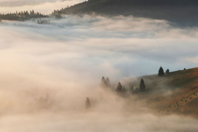 Aerial view of mountain by fog