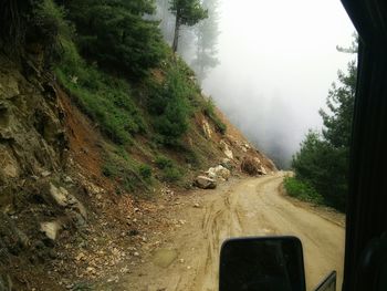 Road passing through trees
