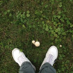 Low section of person standing on field