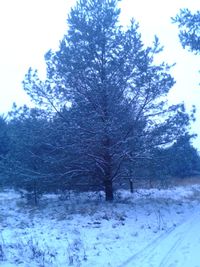 Scenic view of snow covered landscape