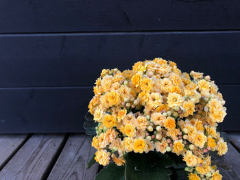 High angle view of flowering plant