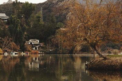 Scenic view of lake by trees against sky