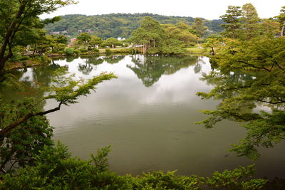 High angle view of trees by lake