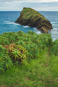 Scenic view of sea against sky
