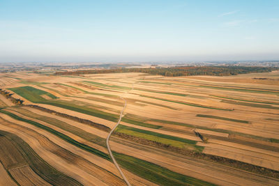 Scenic view of agricultural field against clear sky