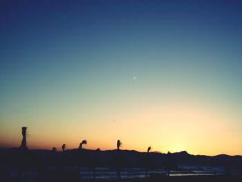 Silhouette of trees at sunset