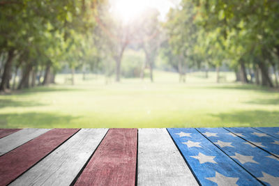 Bench in park