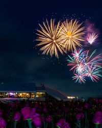 Firework display at night