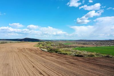 Scenic view of agricultural field against sky